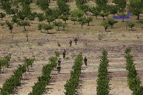 Hezbolá toma el control del valle Rahue